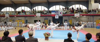 Cours de Taekwondo à Fresnes pour enfants de 8 à 12 ans, adolescents et adultes. Horaires le mardi, le jeudi et le dimanche. Tarifs et inscriptions.