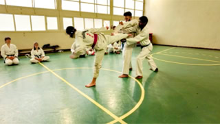 Cours de Taekwondo à Fresnes pour enfants de 8 à 12 ans, adolescents et adultes. Horaires le mardi, le jeudi et le dimanche. Tarifs et inscriptions.