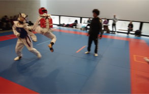 Cours de Taekwondo à Fresnes pour enfants de 8 à 12 ans, adolescents et adultes. Horaires le mardi, le jeudi et le dimanche. Tarifs et inscriptions.