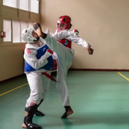 Cours de Taekwondo à Fresnes pour enfants de 8 à 12 ans, adolescents et adultes. Horaires le mardi, le jeudi et le dimanche. Tarifs et inscriptions.