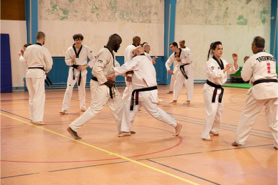 Cours de Taekwondo à Fresnes pour enfants de 8 à 12 ans, adolescents et adultes. Horaires le mardi, le jeudi et le dimanche. Tarifs et inscriptions.