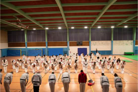 Cours de Taekwondo à Fresnes pour enfants de 8 à 12 ans, adolescents et adultes. Horaires le mardi, le jeudi et le dimanche. Tarifs et inscriptions.
