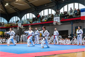 Cours de Taekwondo à Fresnes pour enfants de 8 à 12 ans, adolescents et adultes. Horaires le mardi, le jeudi et le dimanche. Tarifs et inscriptions.