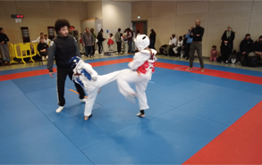 Cours de Taekwondo à Fresnes pour enfants de 8 à 12 ans, adolescents et adultes. Horaires le mardi, le jeudi et le dimanche. Tarifs et inscriptions.