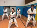 Cours de Taekwondo à Fresnes pour enfants de 8 à 12 ans, adolescents et adultes. Horaires le mardi, le jeudi et le dimanche. Tarifs et inscriptions.