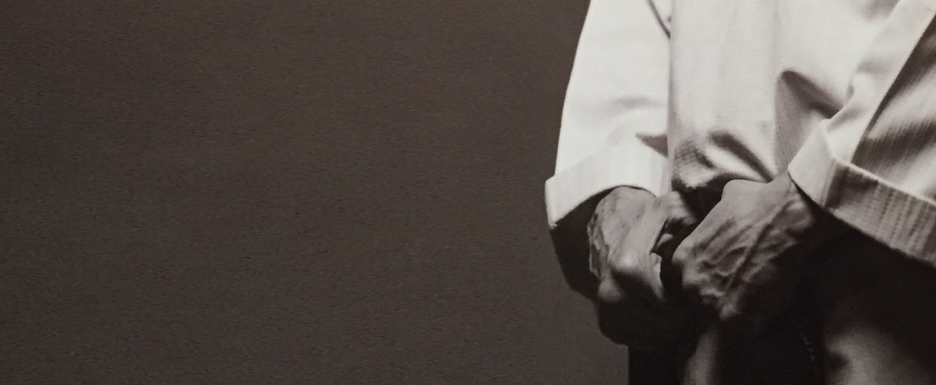 le sens du taekwondo ; livre ; taekwondo ; François PARROT ; Michel CARRON ; art martial ; taekwondo