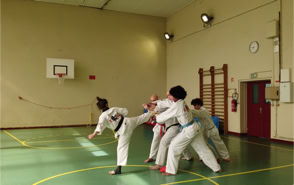 Cours de Taekwondo à Fresnes pour enfants de 8 à 12 ans, adolescents et adultes. Horaires le mardi, le jeudi et le dimanche. Tarifs et inscriptions.