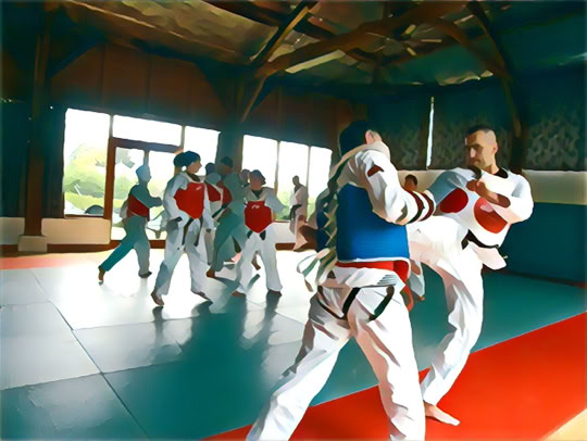 Dendrobates Taekwondo Fresnes, val de marne, Paris