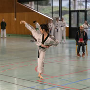 Cours de Taekwondo à Fresnes pour enfants de 8 à 12 ans, adolescents et adultes. Horaires le mardi, le jeudi et le dimanche. Tarifs et inscriptions.