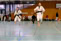 Cours de Taekwondo à Fresnes pour enfants de 8 à 12 ans, adolescents et adultes. Horaires le mardi, le jeudi et le dimanche. Tarifs et inscriptions.