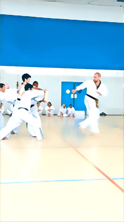 Dendrobates Taekwondo Fresnes, val de marne, Paris