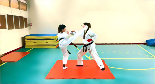 Dendrobates Taekwondo Fresnes, val de marne, Paris