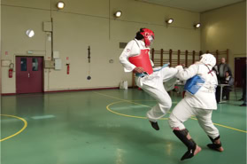 Cours de Taekwondo à Fresnes pour enfants de 8 à 12 ans, adolescents et adultes. Horaires le mardi, le jeudi et le dimanche. Tarifs et inscriptions.