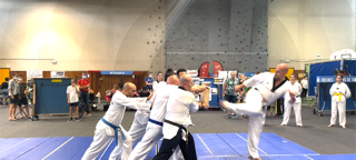 Cours de Taekwondo à Fresnes pour enfants de 8 à 12 ans, adolescents et adultes. Horaires le mardi, le jeudi et le dimanche. Tarifs et inscriptions.