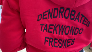 Cours de Taekwondo à Fresnes pour enfants de 8 à 12 ans, adolescents et adultes. Horaires le mardi, le jeudi et le dimanche. Tarifs et inscriptions.