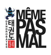 Cours de Taekwondo à Fresnes pour enfants de 8 à 12 ans, adolescents et adultes. Horaires le mardi, le jeudi et le dimanche. Tarifs et inscriptions.