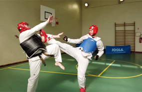 Cours de Taekwondo à Fresnes pour enfants de 8 à 12 ans, adolescents et adultes. Horaires le mardi, le jeudi et le dimanche. Tarifs et inscriptions.