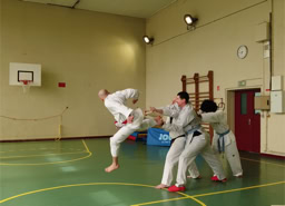 Cours de Taekwondo à Fresnes pour enfants de 8 à 12 ans, adolescents et adultes. Horaires le mardi, le jeudi et le dimanche. Tarifs et inscriptions.