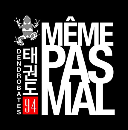 Le super club de Taekwondo de Fresnes dans le val de Marne près de Paris. Gymnase Pasteur, 4 allée Mansart. Rejoignez nous, venez expérimenter un Taekwondo issue d’une longue tradition. Un Taekwondo réaliste, physique, exigent. Art martial, art martiaux, sport de combat.